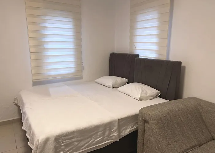 Apartament Modern In Quiet Lane